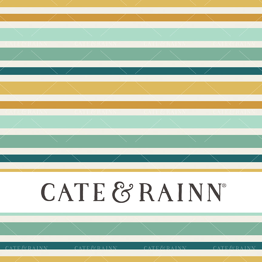 Multicolor Stripe Seamless Pattern Design by Cate &amp; Rainn