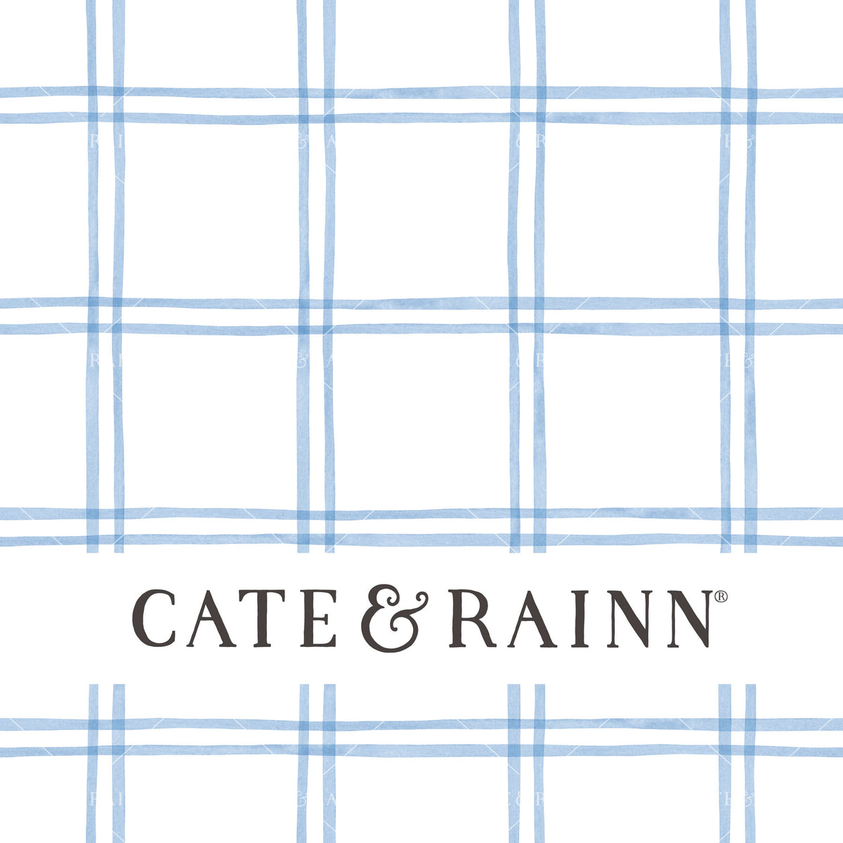 Decorative pattern for portfolio featuring a blue and white watercolor plaid design with Cate and Rainn branding.