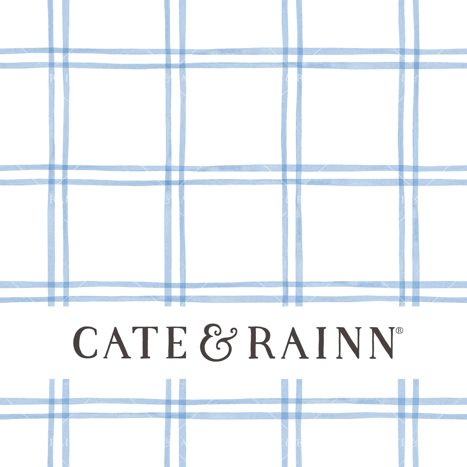 Decorative pattern for portfolio featuring a blue and white watercolor plaid design with Cate and Rainn branding.