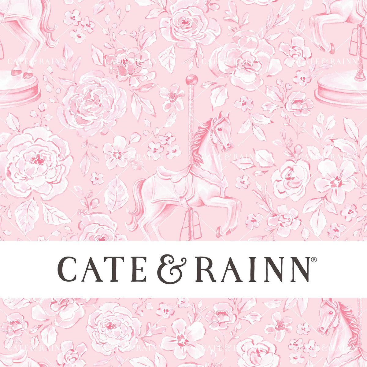 Delicate hand-painted soft pink watercolor carousel horse framed by romantic florals in a soft coquette aesthetic on a ballet pink background with Cate and Rainn branding.