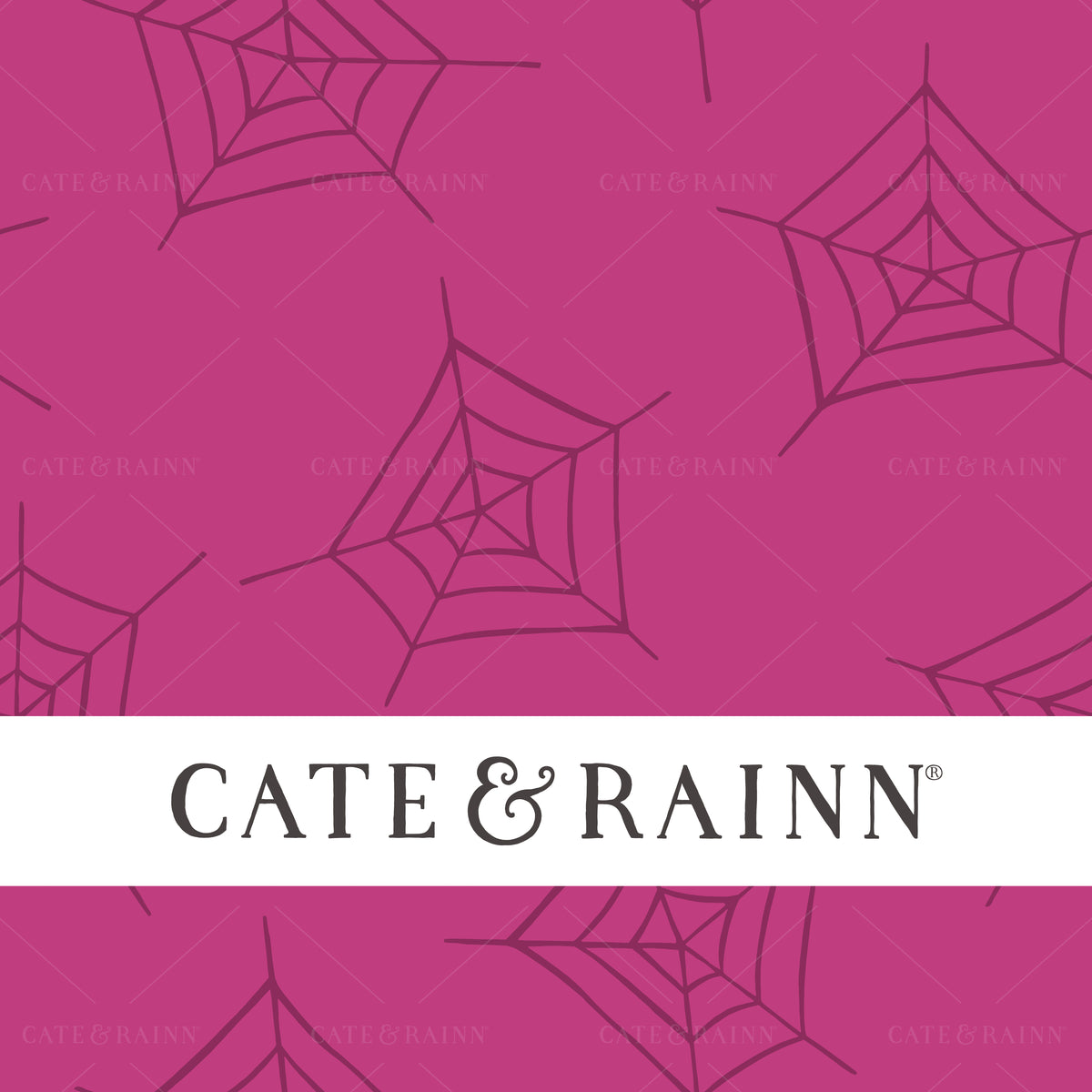 Halloween Spider Web Seamless Pattern by Cate and Rainn®