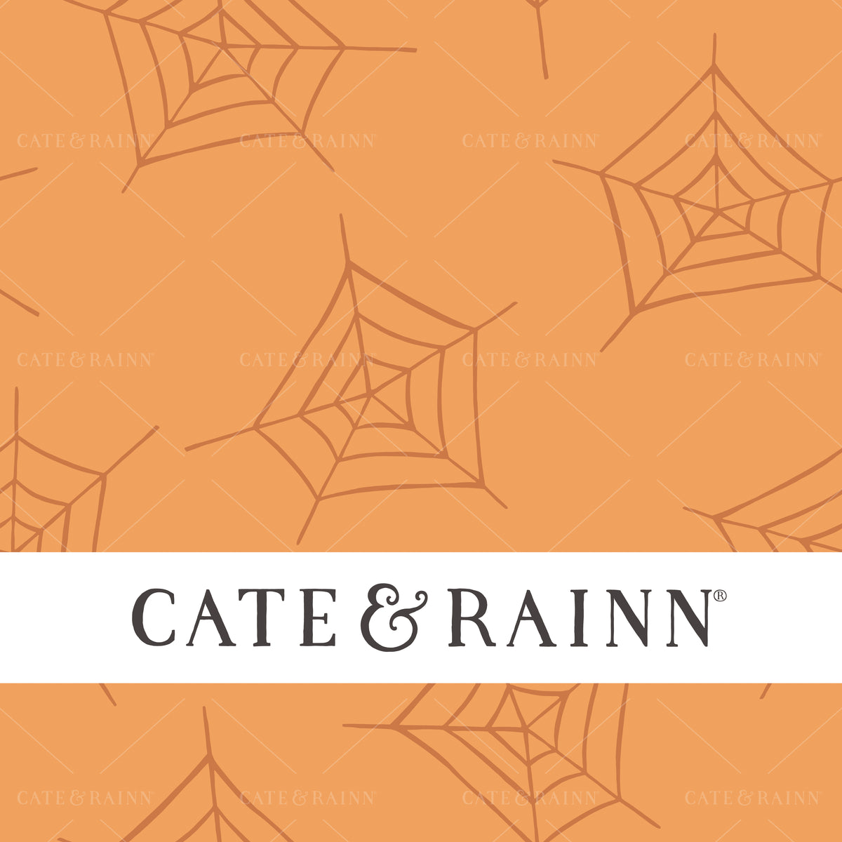 Halloween Spider Web Seamless Pattern by Cate and Rainn®