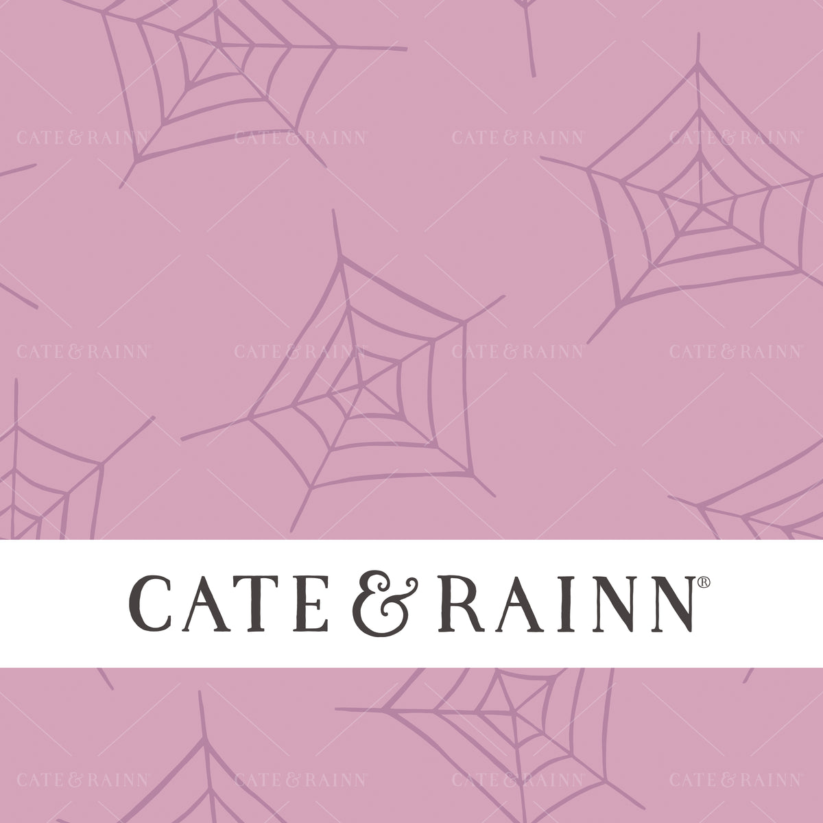 Halloween Spider Web Seamless Pattern by Cate and Rainn®