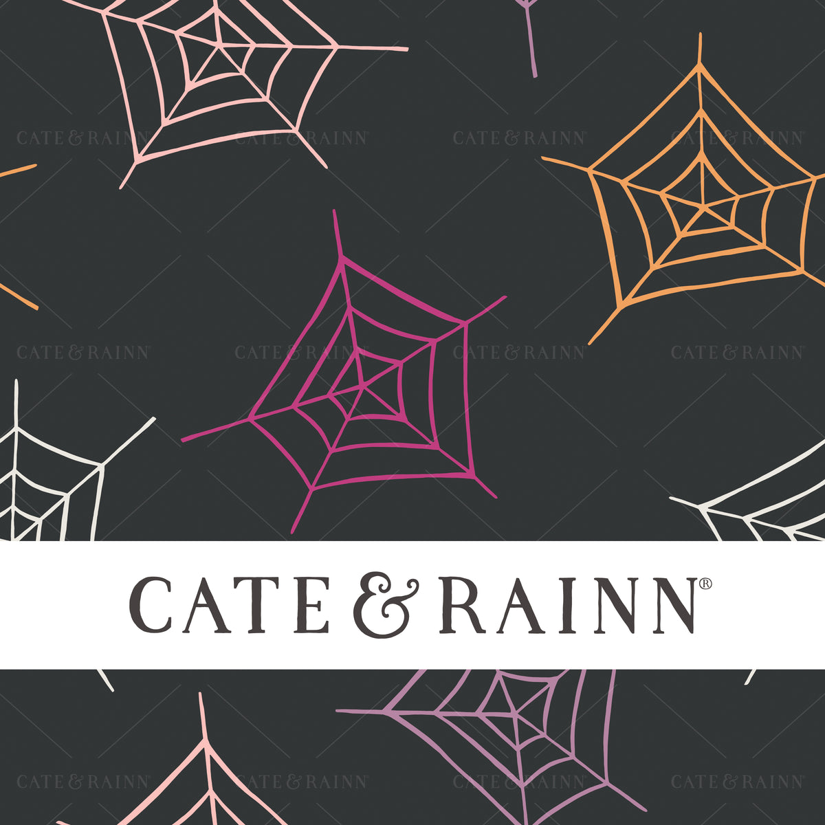 Halloween Spider Web Seamless Pattern by Cate and Rainn®