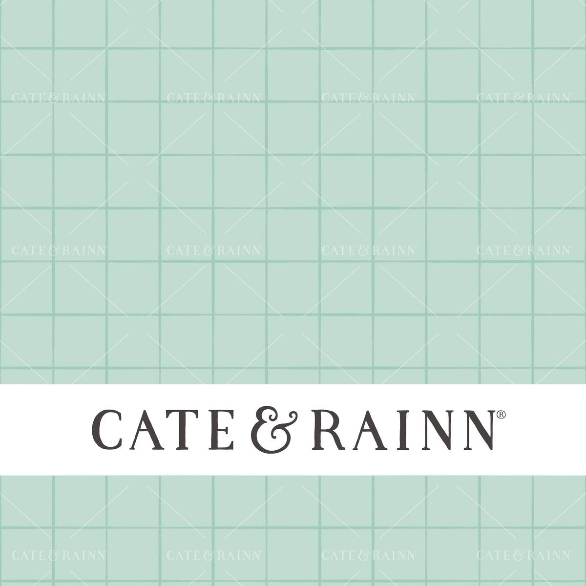 Simple Grid Pirates Ahoy Seamless Pattern by Cate &amp; Rainn®