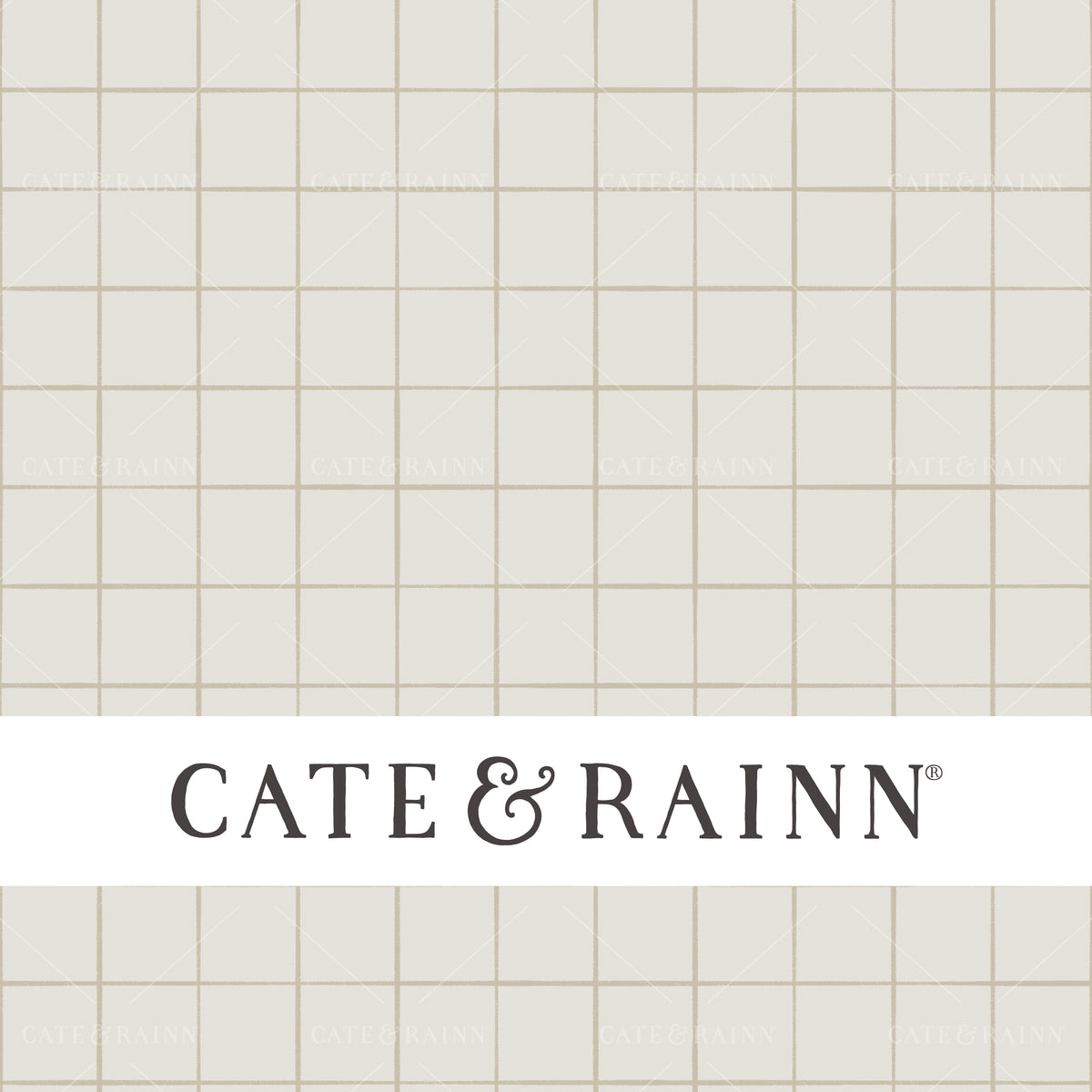 Simple Grid Pirates Ahoy Seamless Pattern by Cate &amp; Rainn®