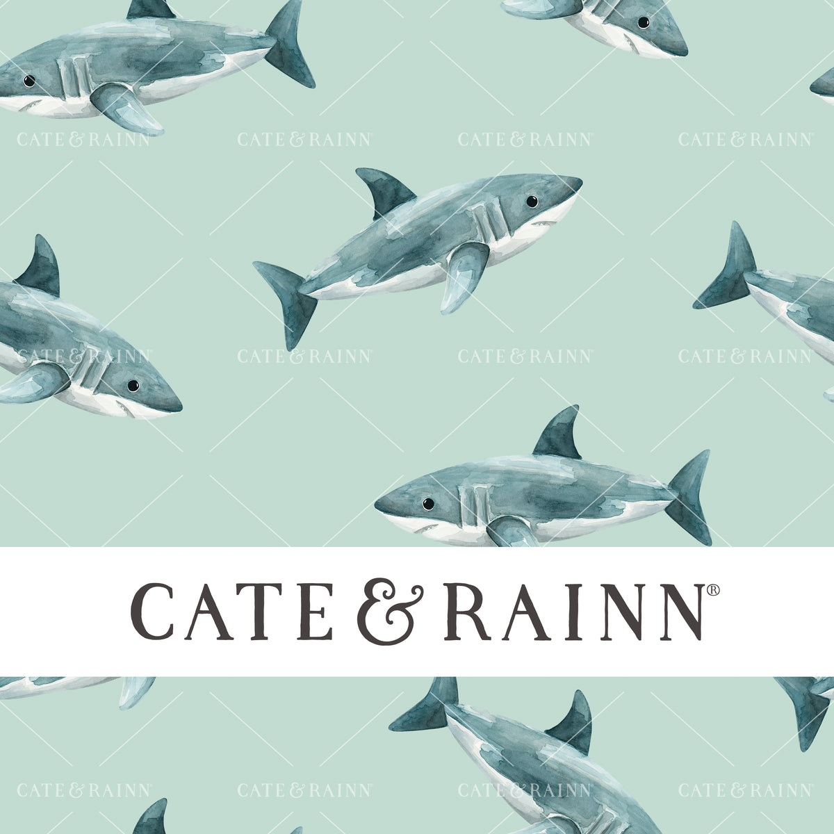 Hand-painted Sharks - Pirates Ahoy Seamless Pattern by Cate &amp; Rainn®