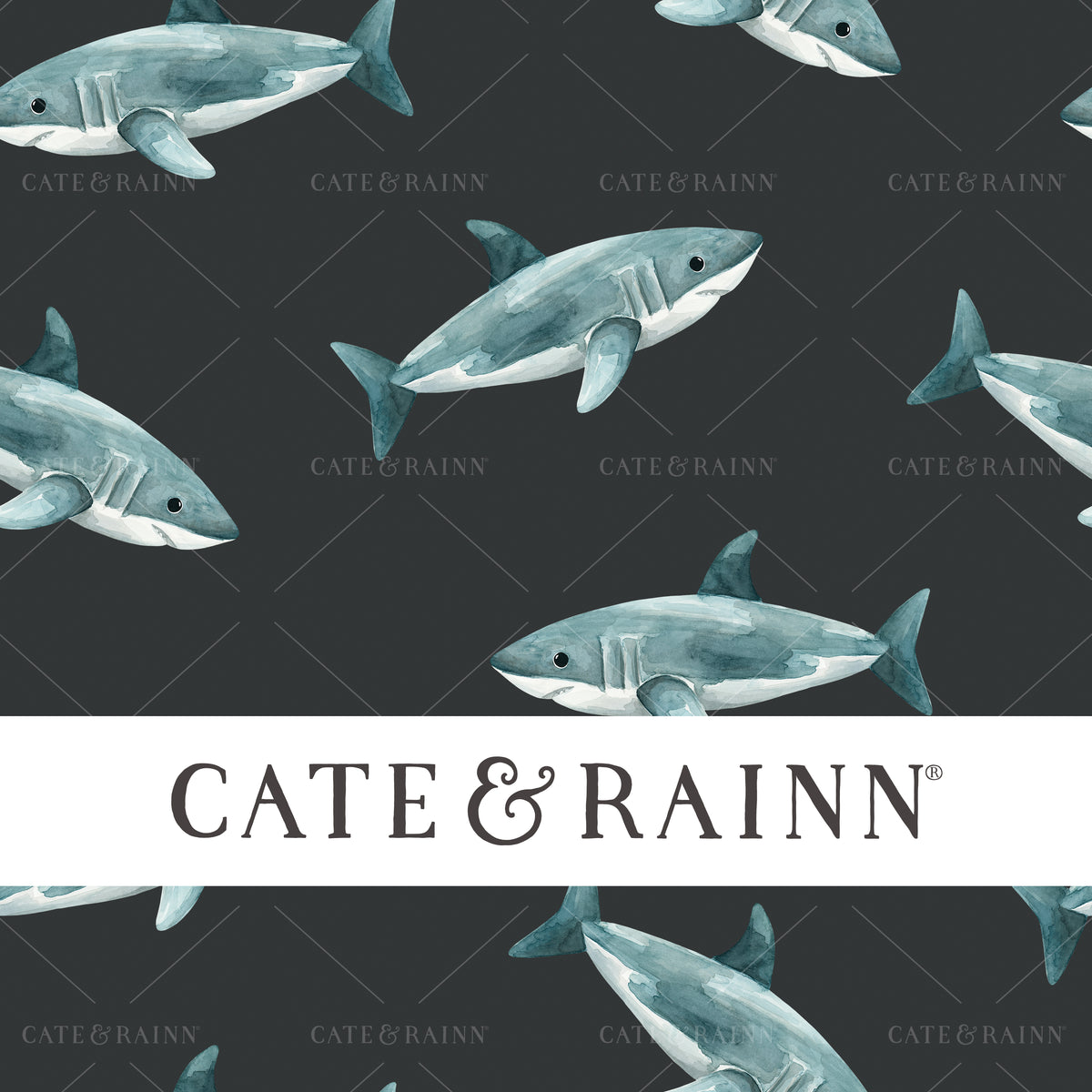Hand-painted Sharks - Pirates Ahoy Seamless Pattern by Cate &amp; Rainn®