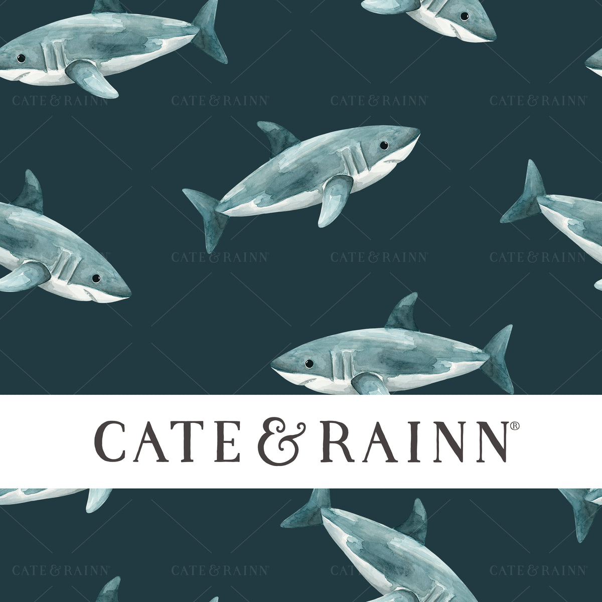 Hand-painted Sharks - Pirates Ahoy Seamless Pattern by Cate &amp; Rainn®