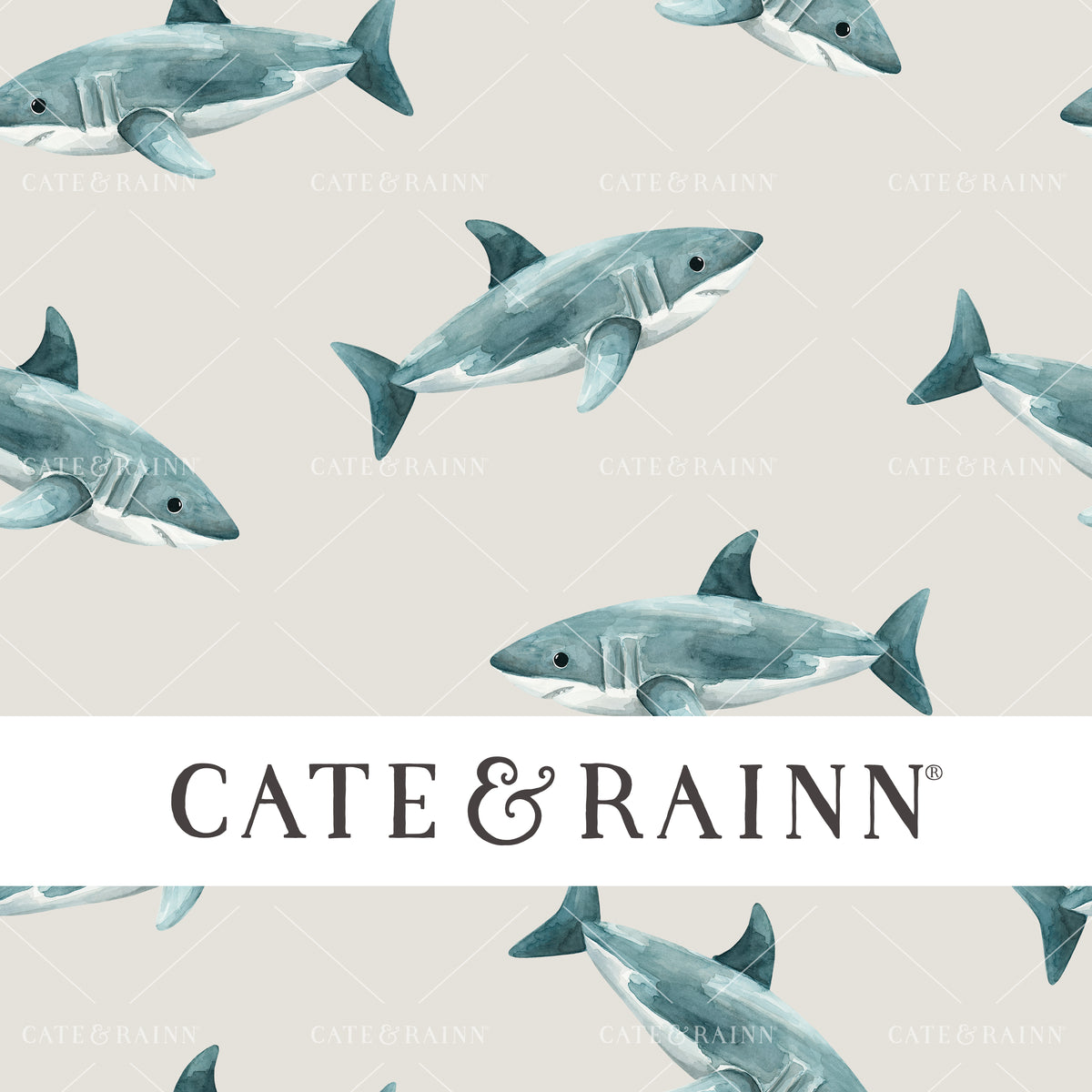 Hand-painted Sharks - Pirates Ahoy Seamless Pattern by Cate &amp; Rainn®