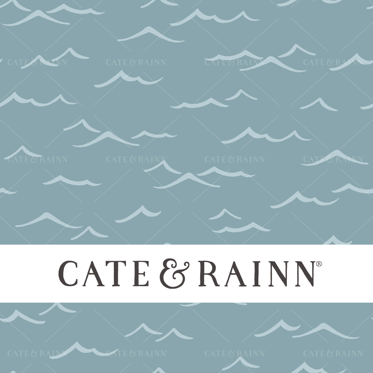 Ocean Waves Pirates Ahoy Seamless Pattern by Cate &amp; Rainn®
