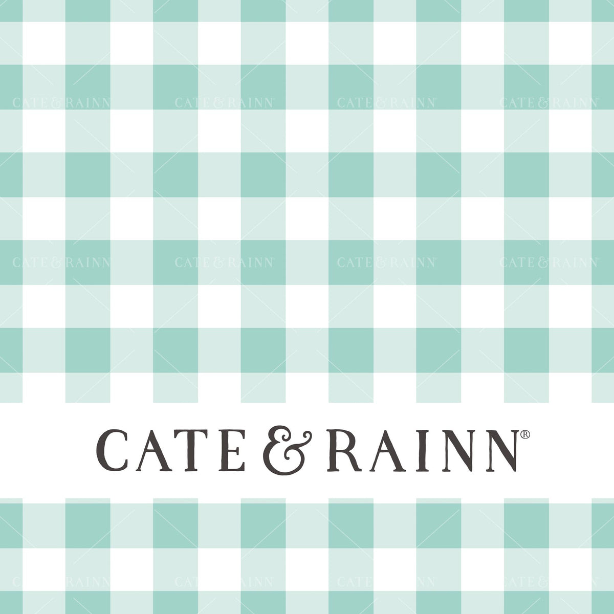 A aqua blue and white gingham pattern with Cate and Rainn branding.