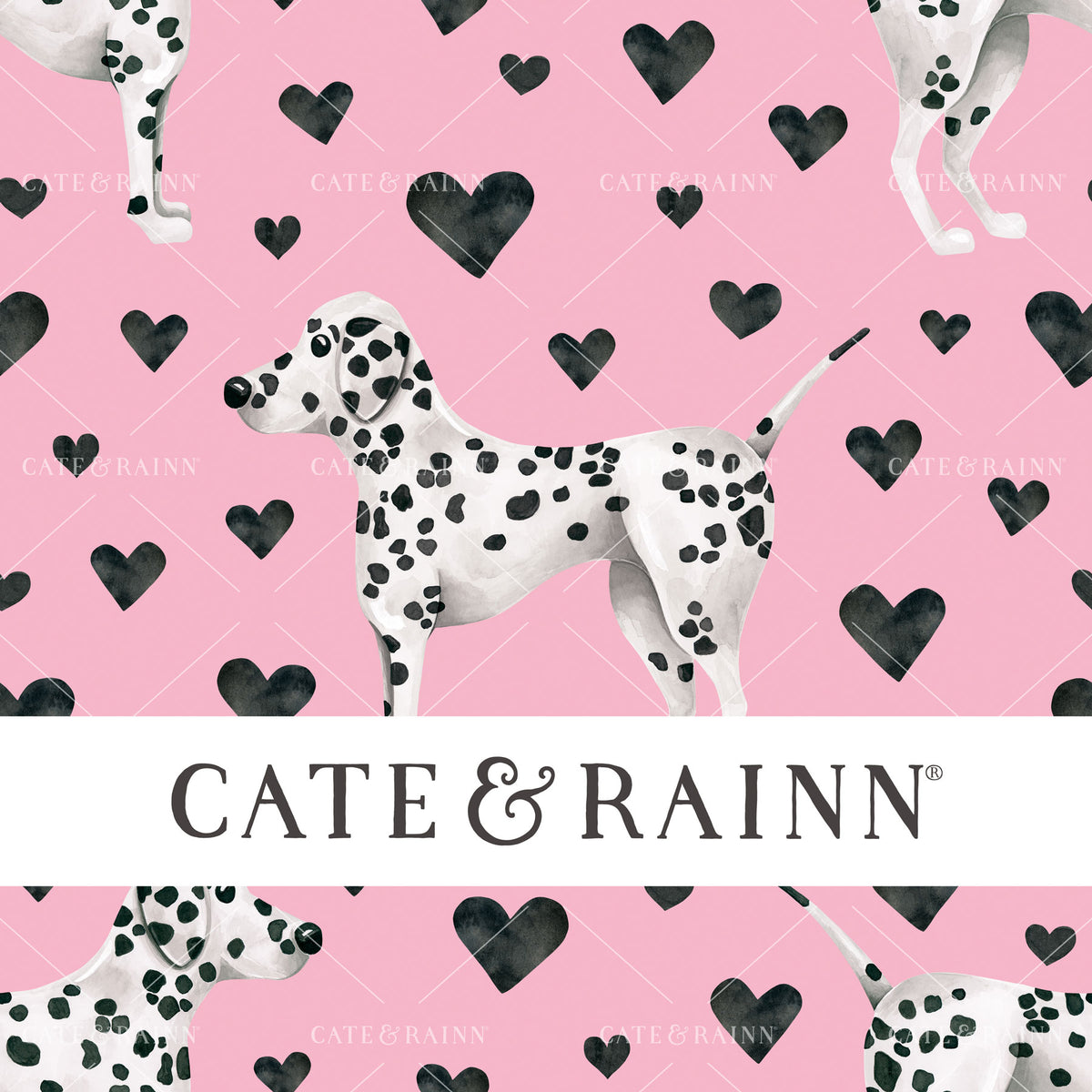 Dalmatian dog on a pink background with black hearts and 'Cate &amp; Rainn' branding.