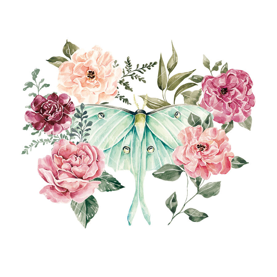 Decorative illustration of a luna moth surrounded by pink roses on a white background