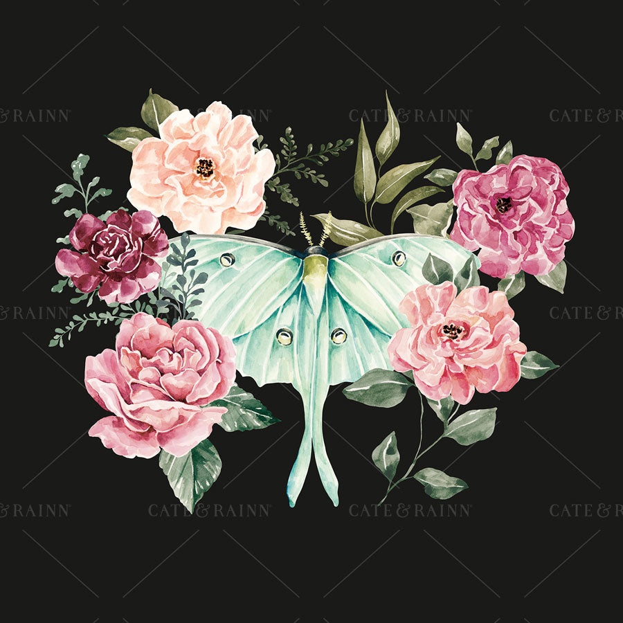 Watercolor luna moth and roses on a dark background.