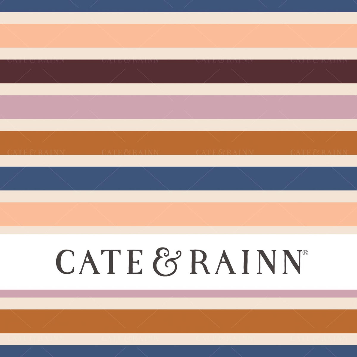 Multicolor Stripes Seamless Pattern File by Cate &amp; Rainn