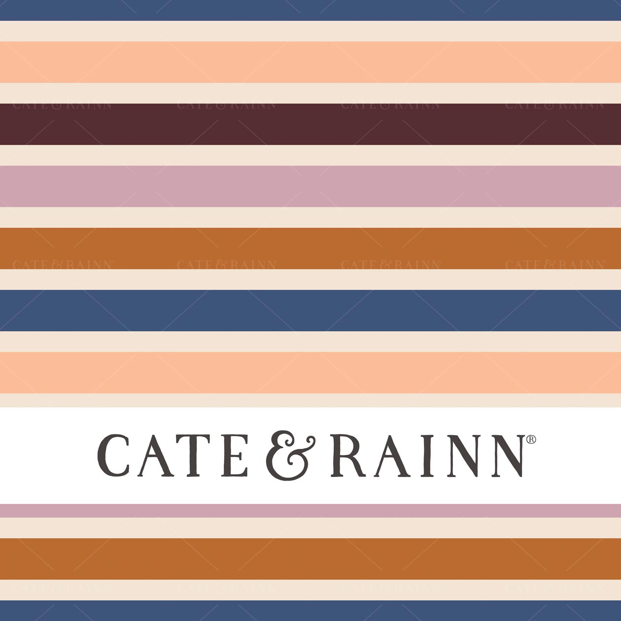 Multicolor Stripes Seamless Pattern File by Cate & Rainn