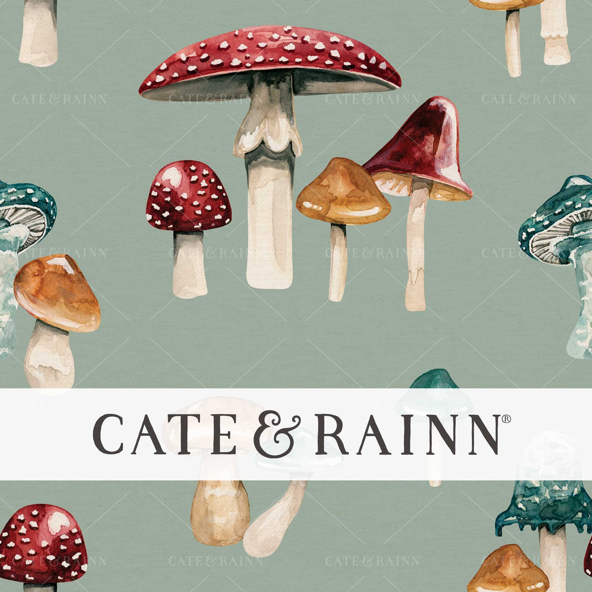 Vintage Rustic Watercolor Mushroom by Cate and Rainn