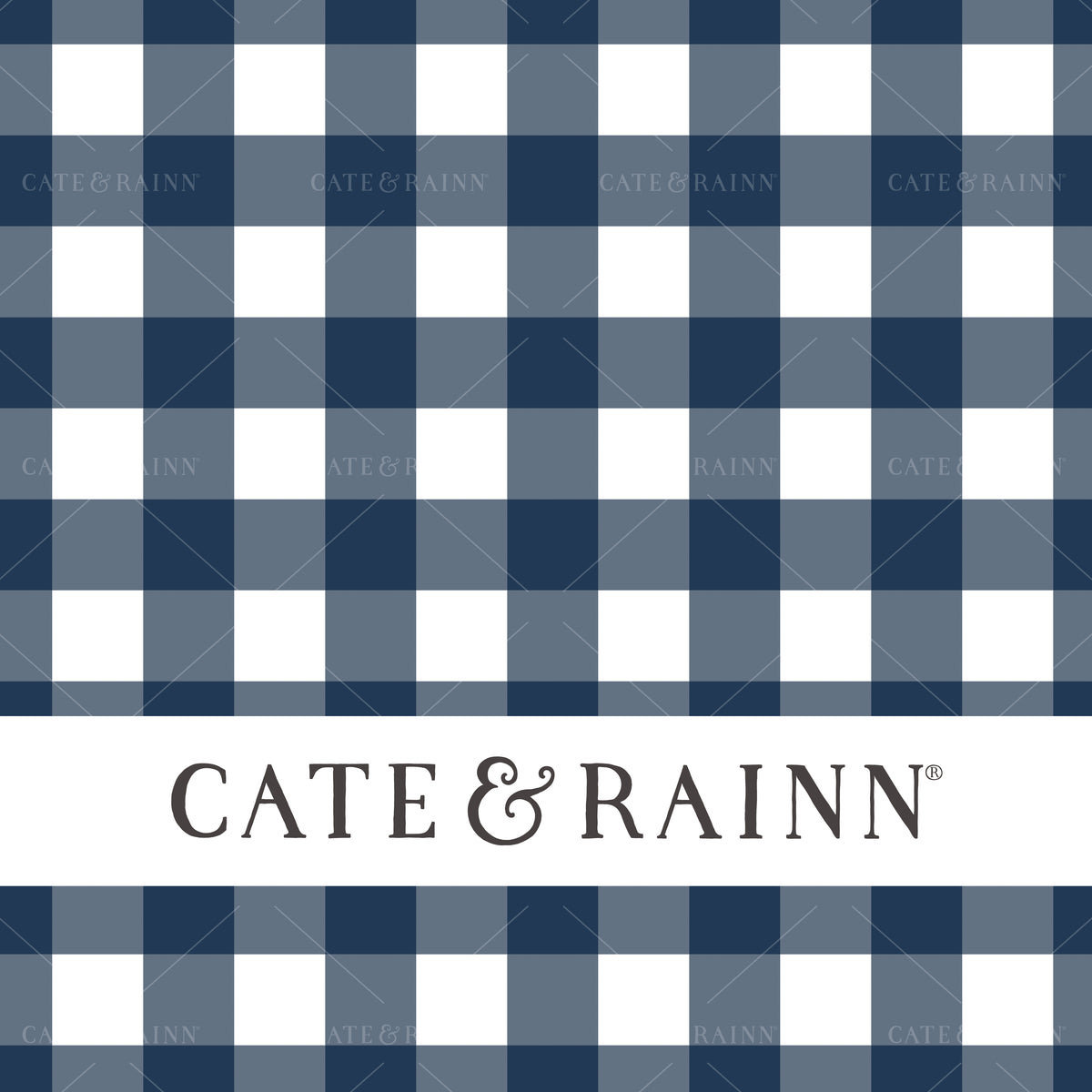 Gingham Seamless Pattern Design by Cate and Rainn