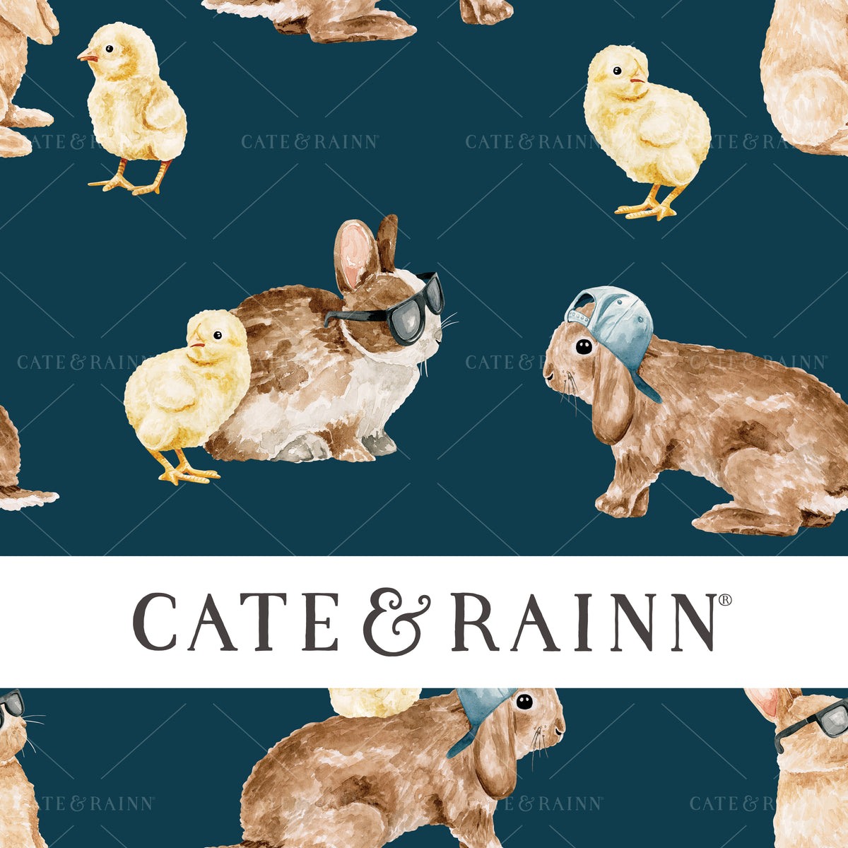 Cool Bunnies and Chicks Design