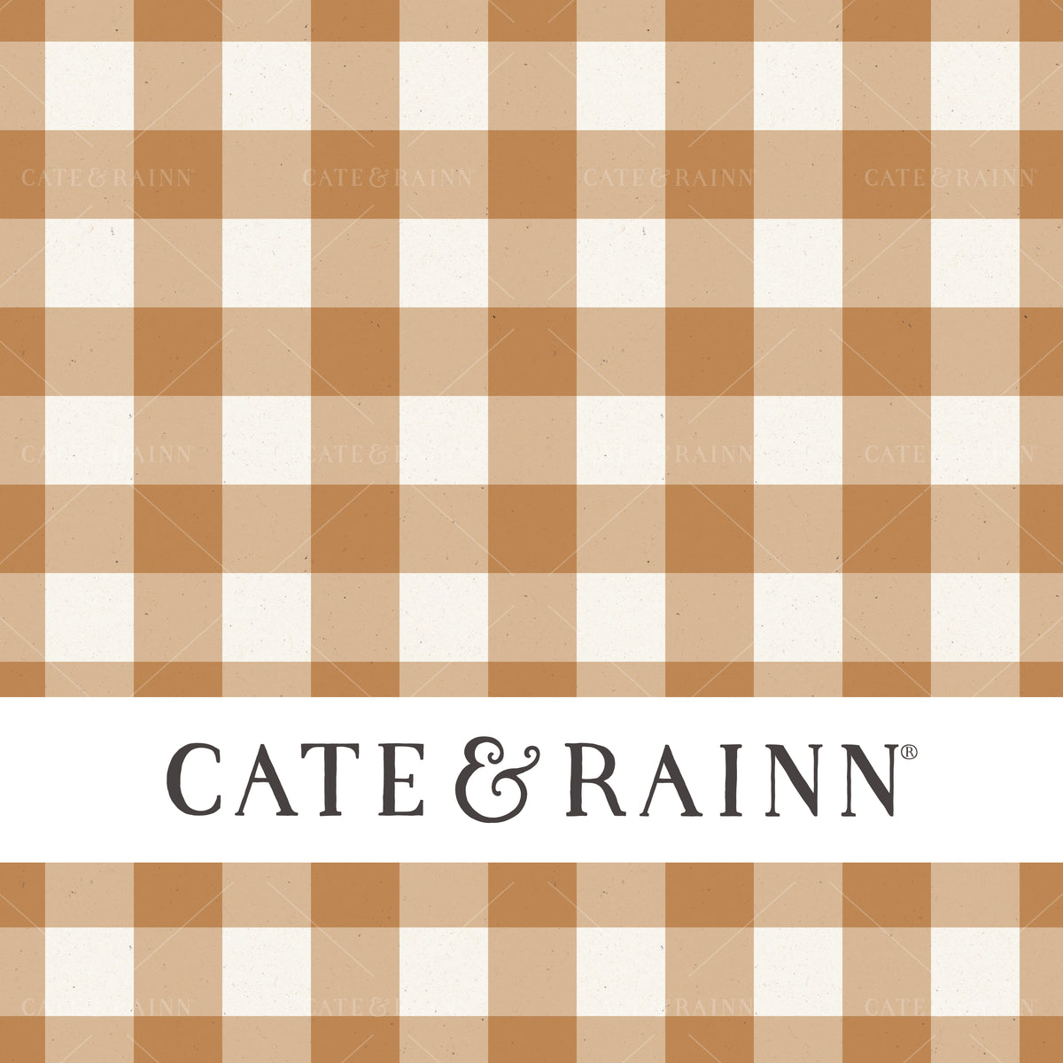 Gingham Orange and Cream