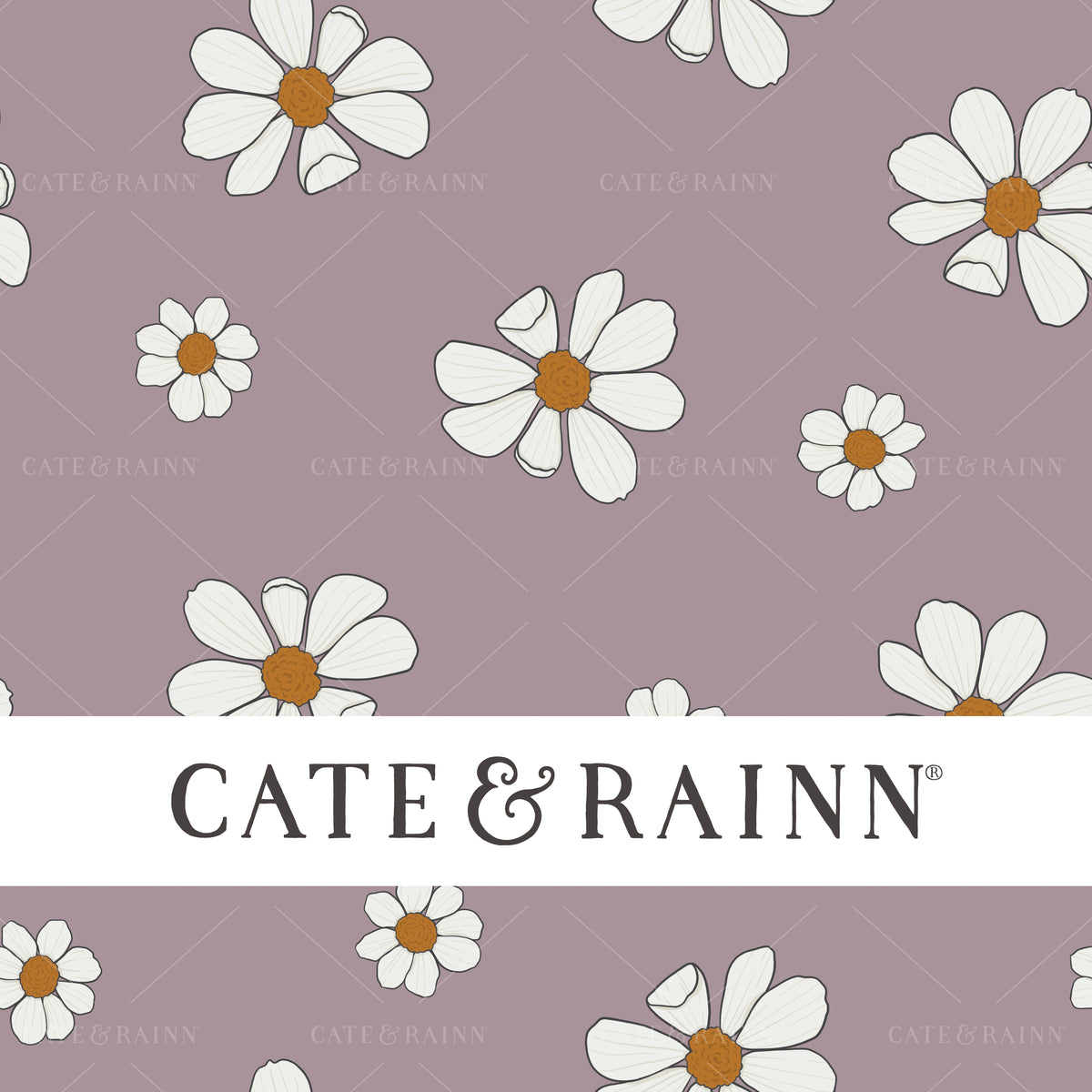 Daisy Seamless Pattern