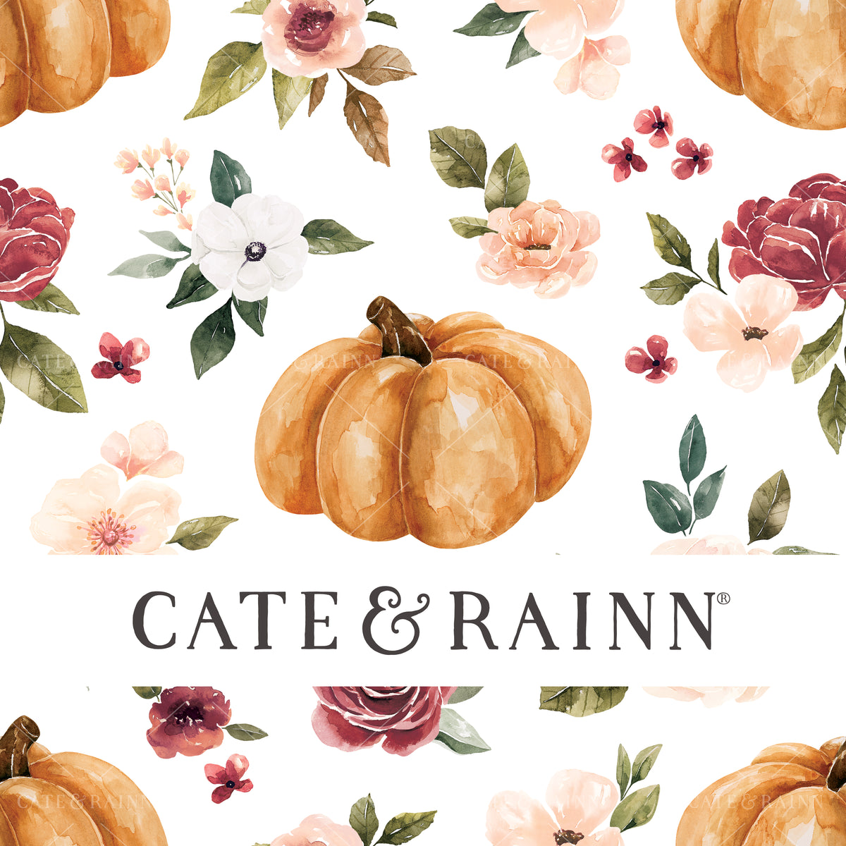 Cate and Rainn Licensing Terms and Copyright Info