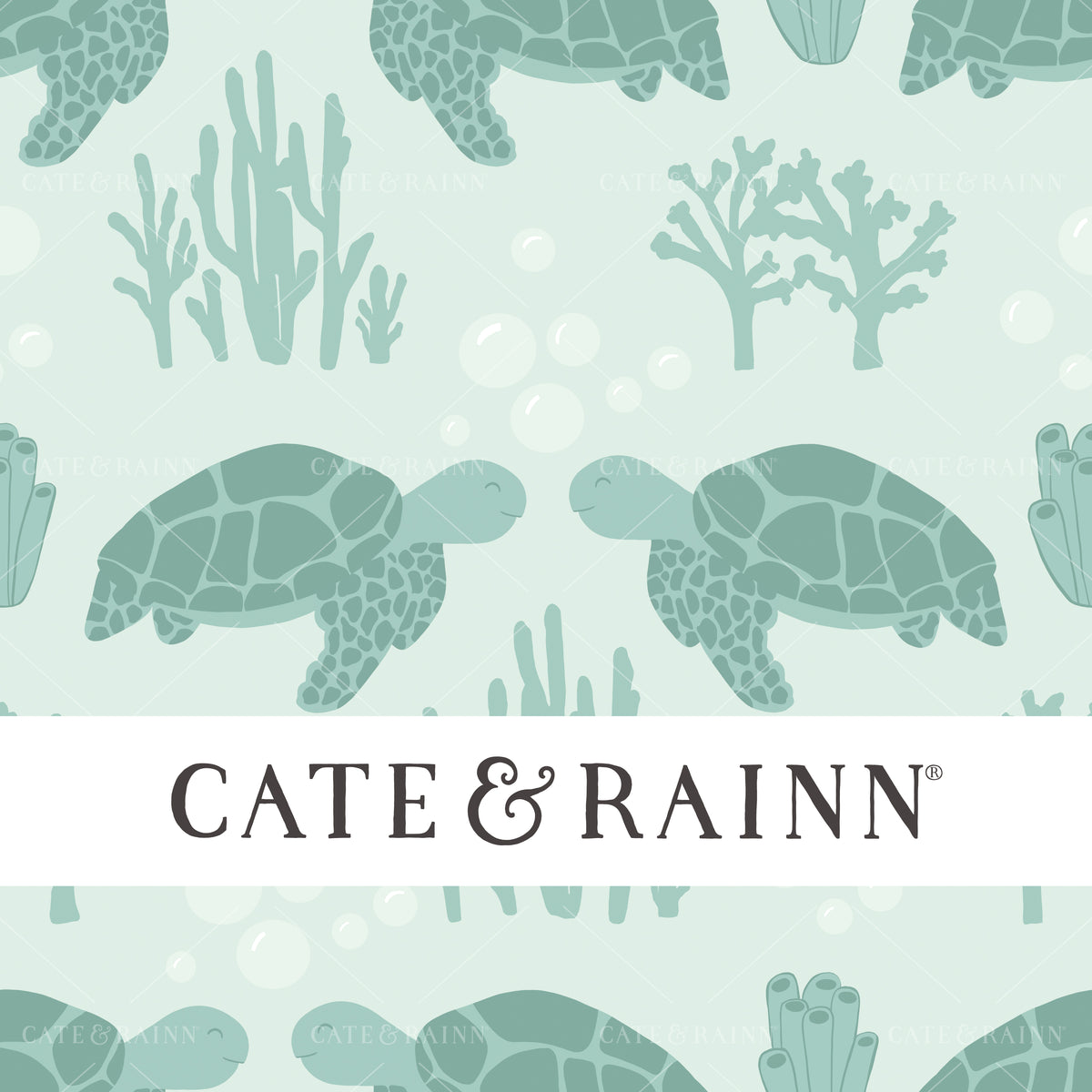 Sea Turtles and Bubbles