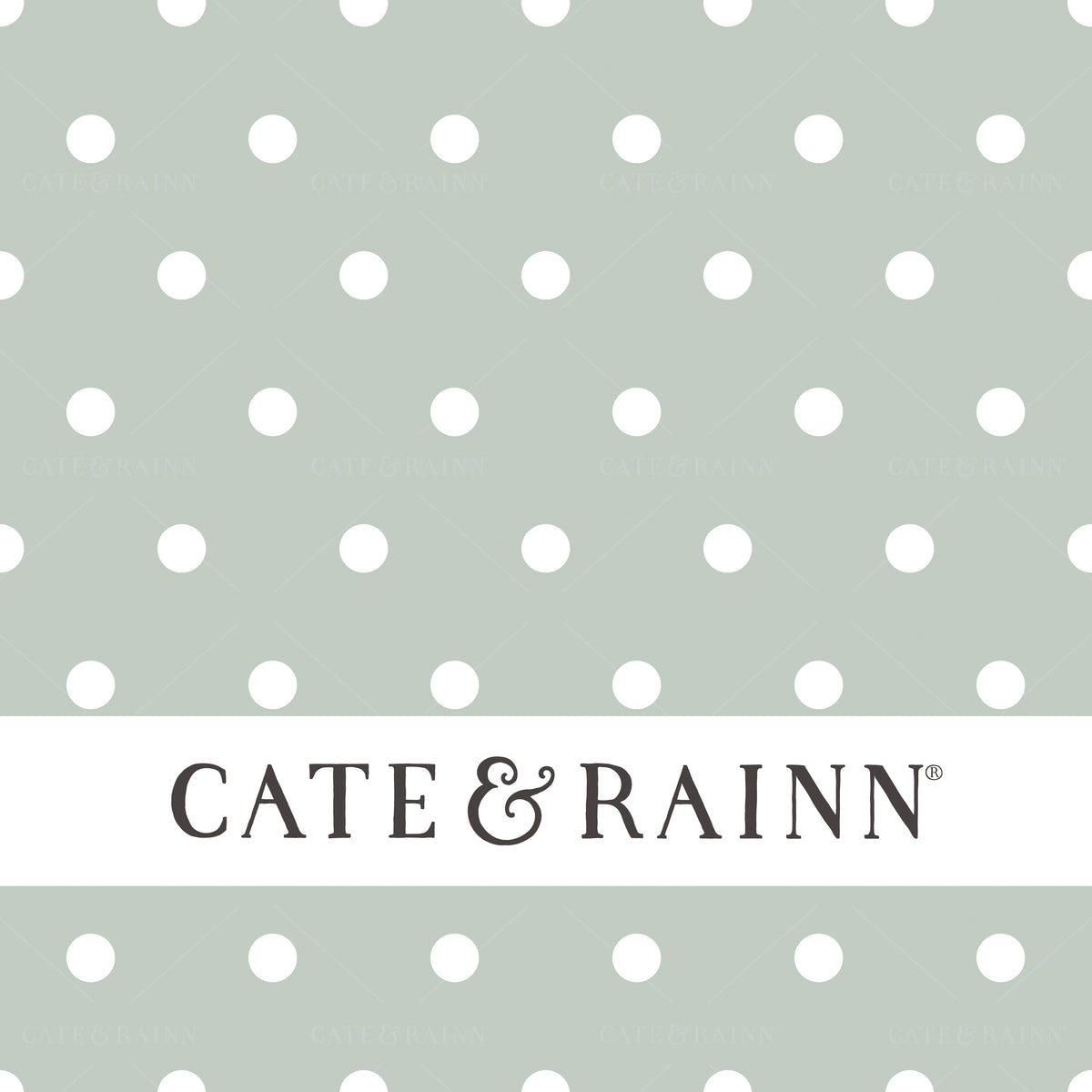 Polka Dot Seamless Pattern Design by Cate and Rainn