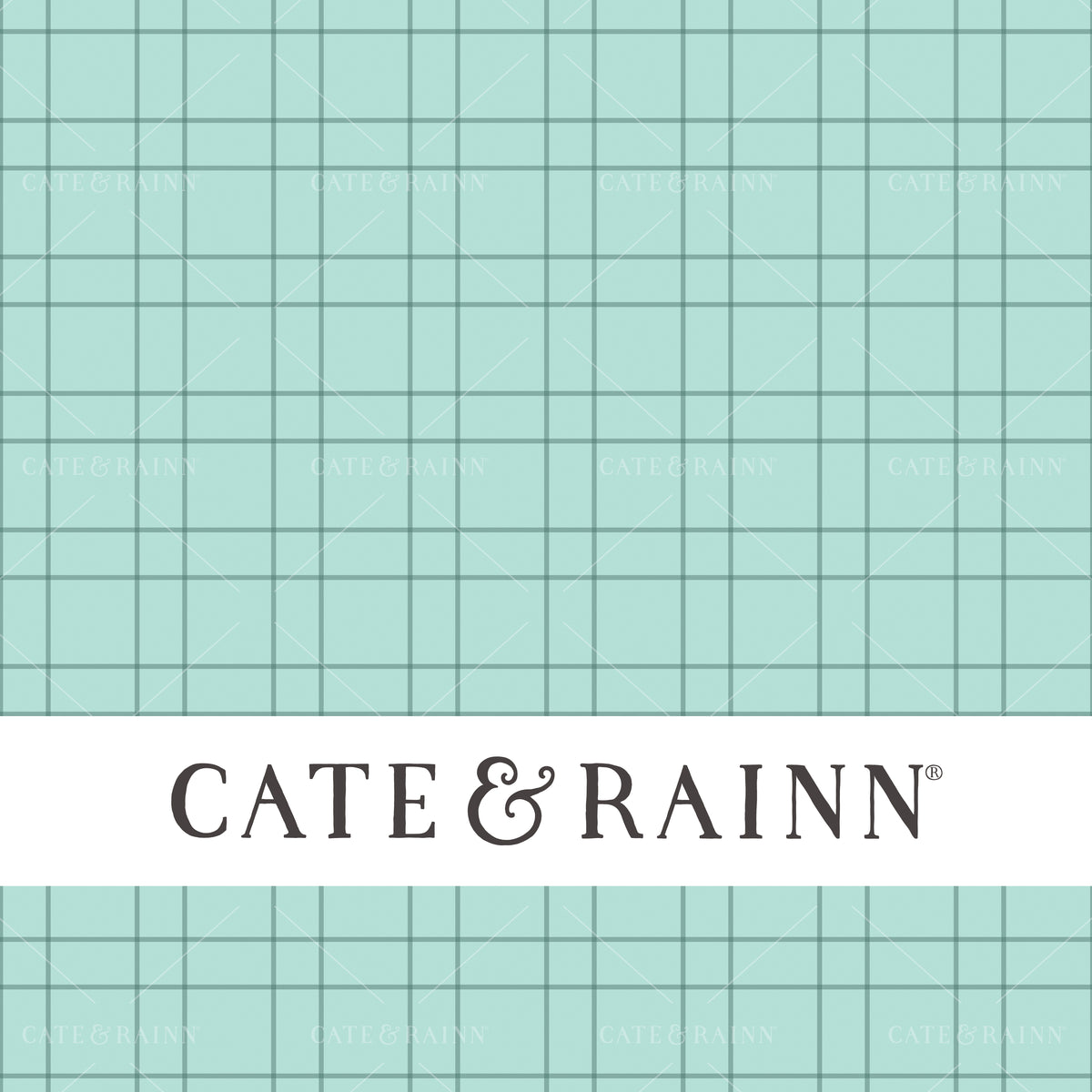 Blue Pin Stripe Design