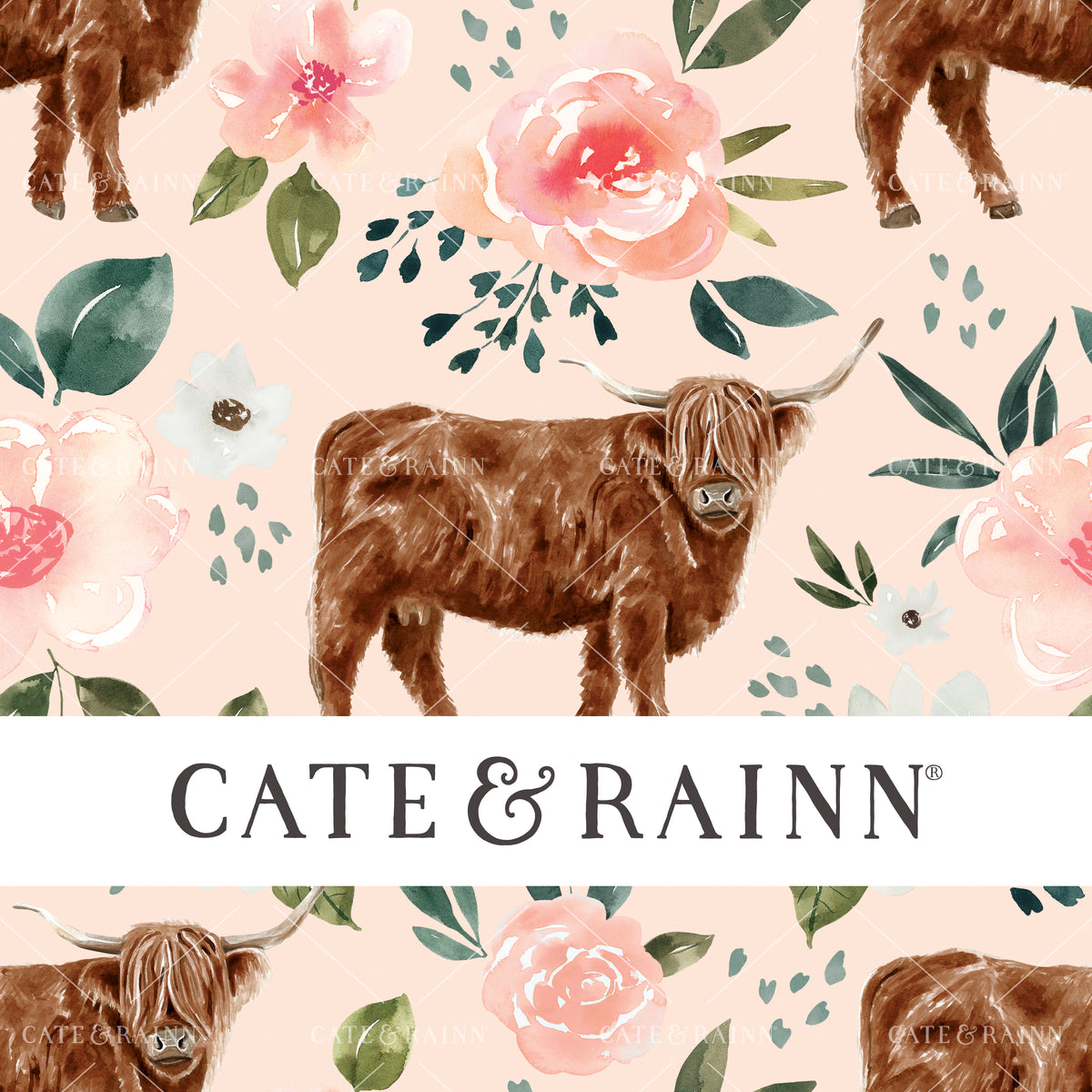 Blush Pink Flower with Highland Cow for Spring