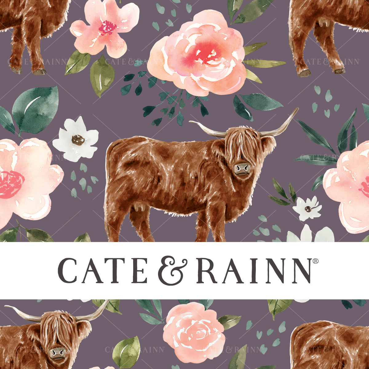 Highland Cow and Pink Flowers on Purple