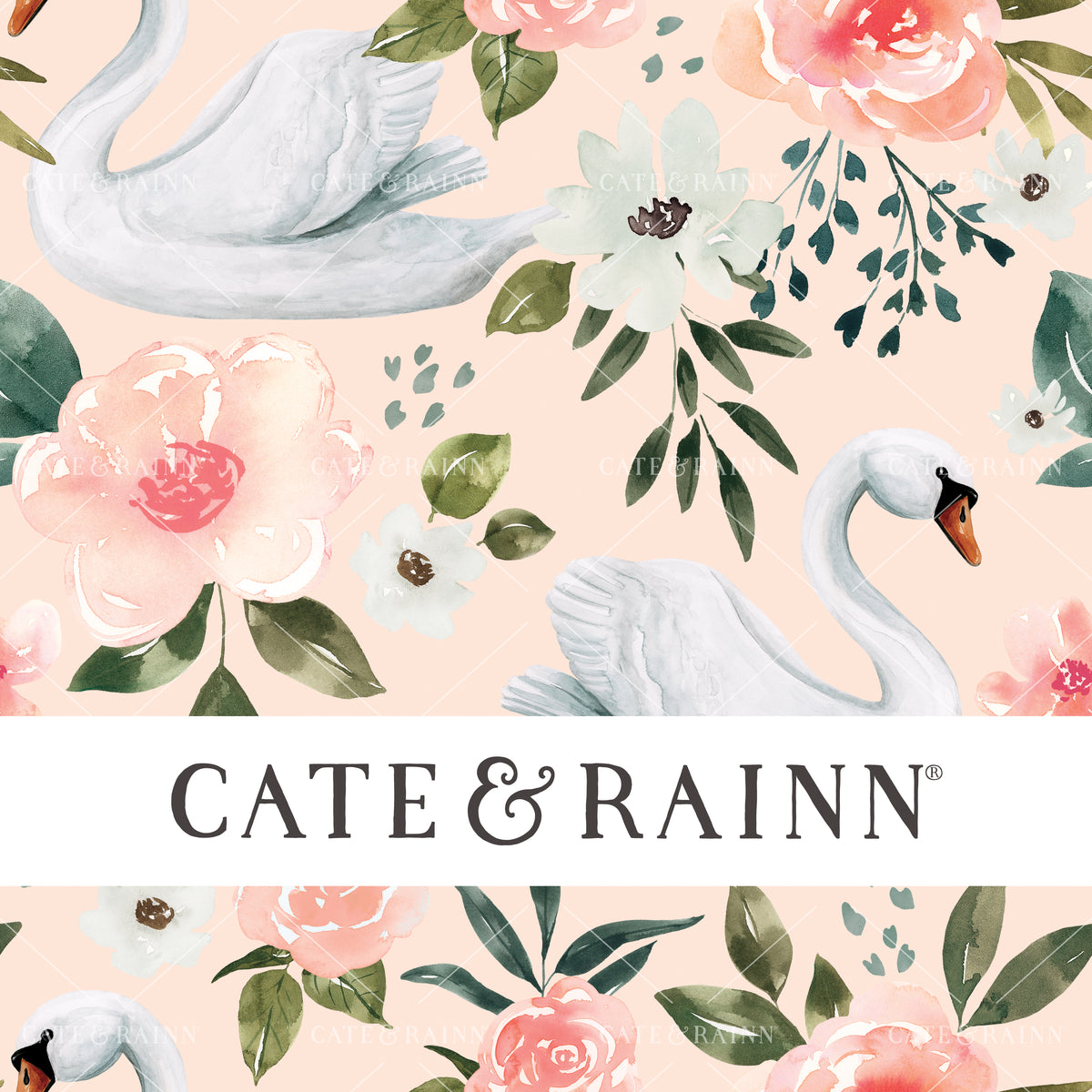 Blush Pink floral Swan Print